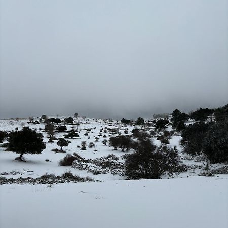 Casa Rural Las Nogueras Caserio Arroyofrio 외부 사진
