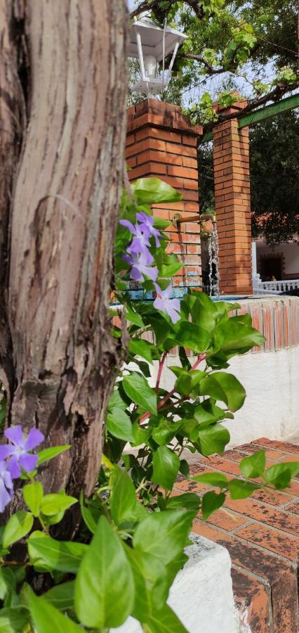 Casa Rural Las Nogueras Caserio Arroyofrio 외부 사진