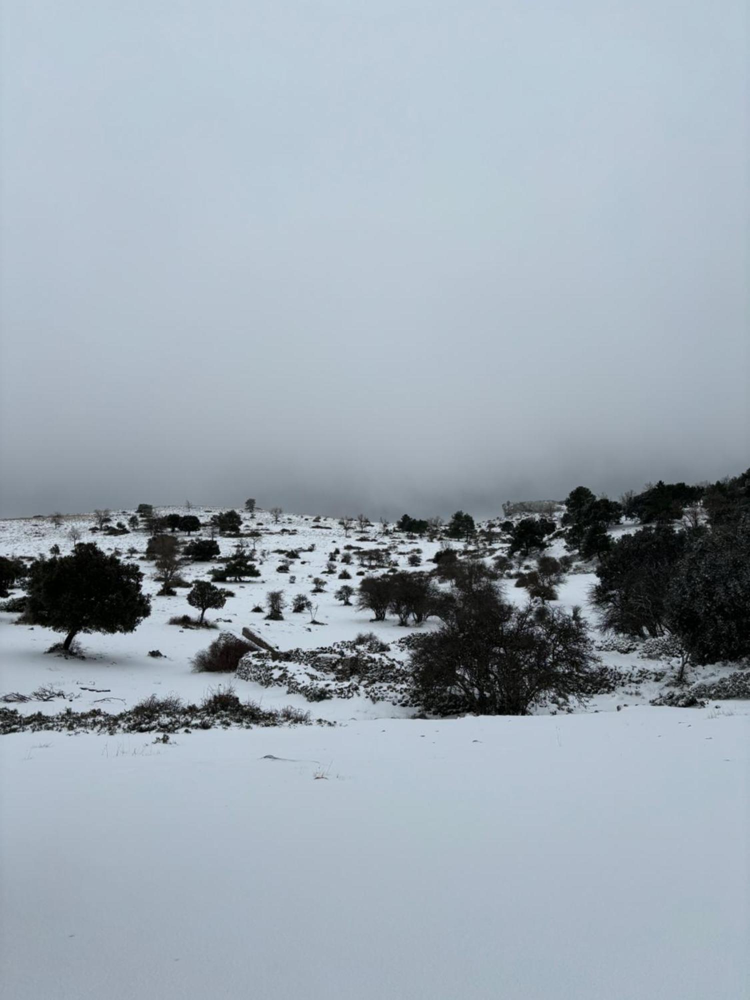 Casa Rural Las Nogueras Caserio Arroyofrio 외부 사진